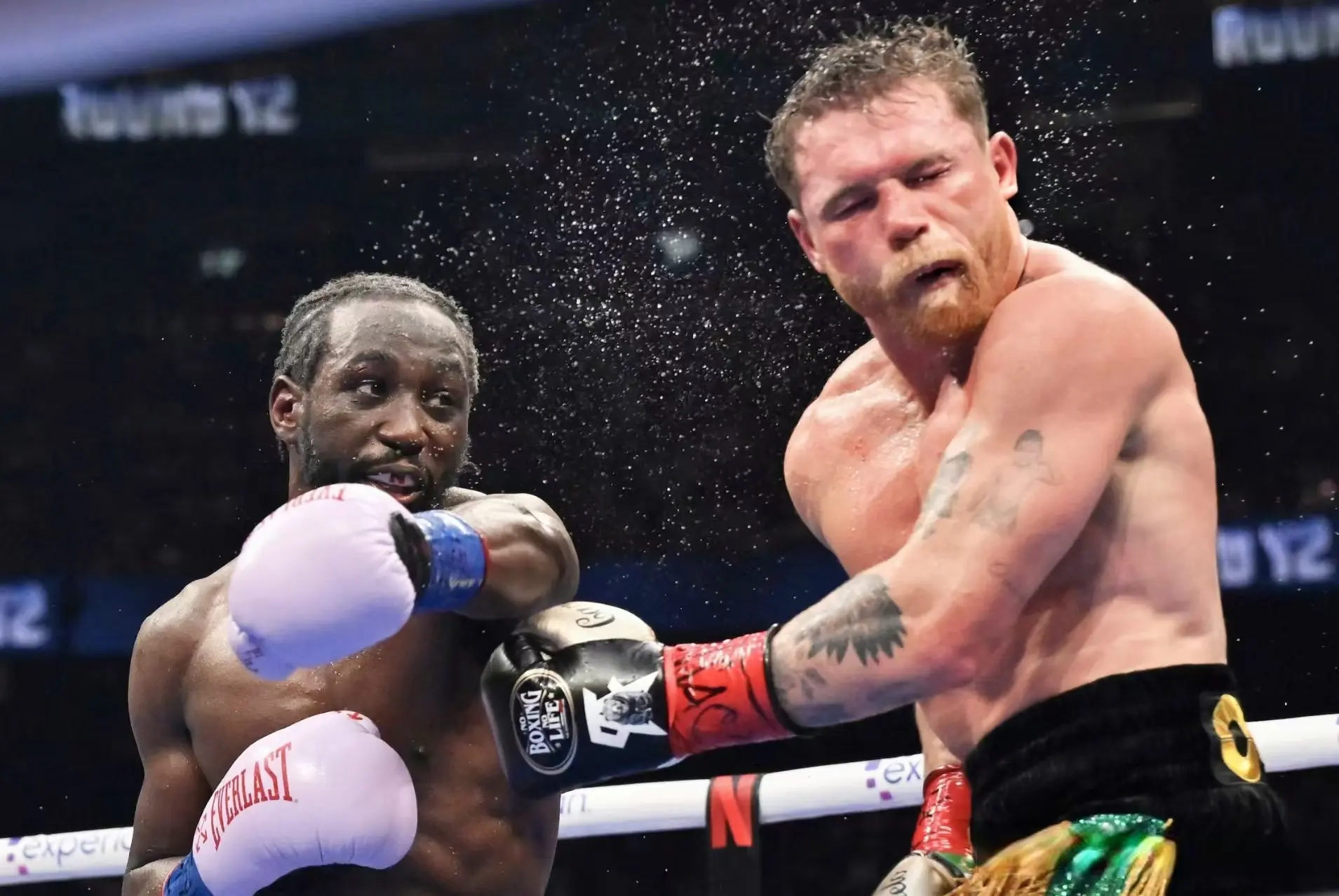 但他没有这, cn 但他没有这, cn